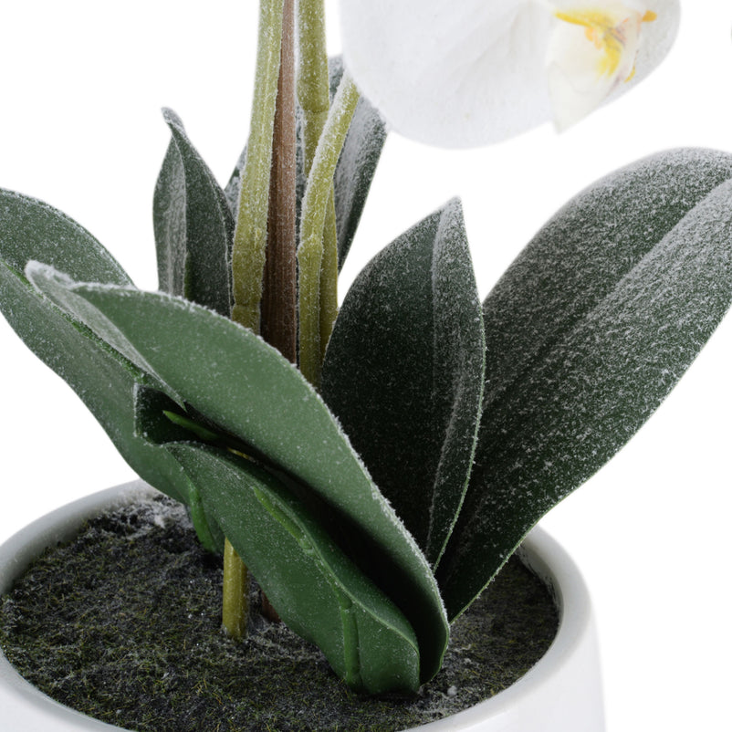 SNOWY ORCHID Aranjament flori artificiale