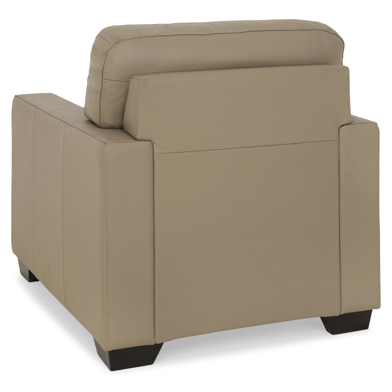 ASWAN Fotoliu, piele