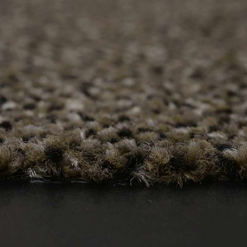 PORTAL Covoraș intrare