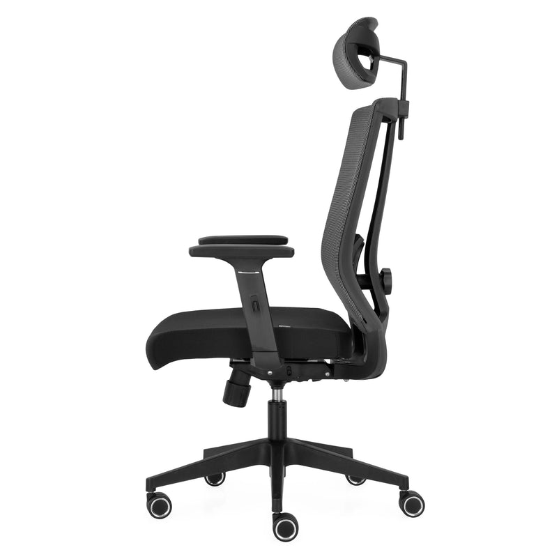 OTTO Scaun ergonomic birou