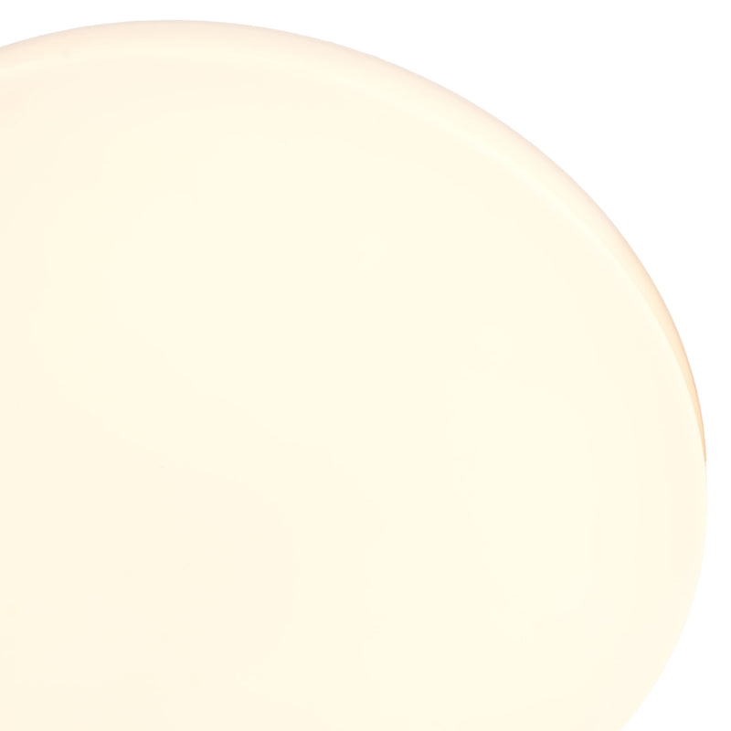 ZERNO Plafonieră 1x12W LED