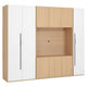 COMPACT Dressing 9 uși, spațiu TV