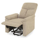NAMPA Fotoliu, lift și recliner electric, stofă