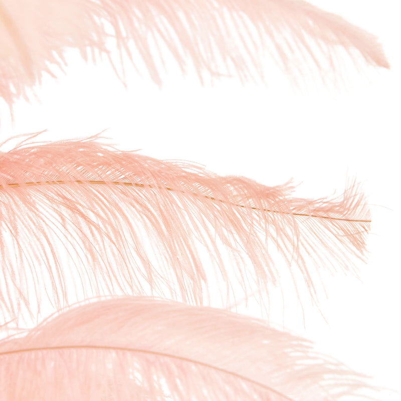 FEATHERS Plantă decorativă