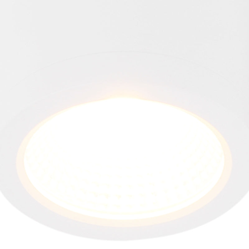 RENO Plafonieră 1x10W LED