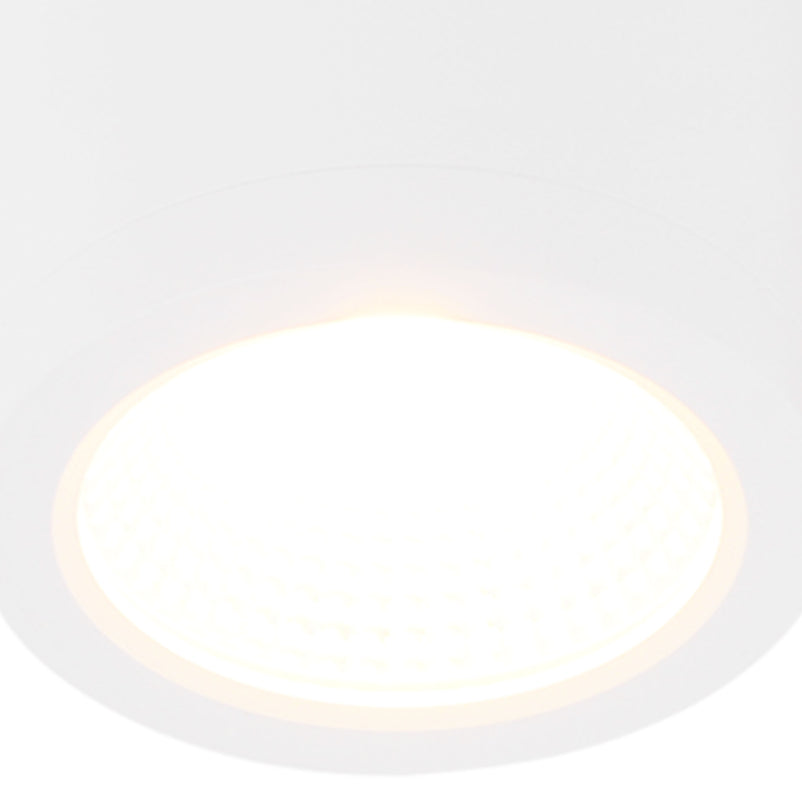 RENO Plafonieră 1x10W LED