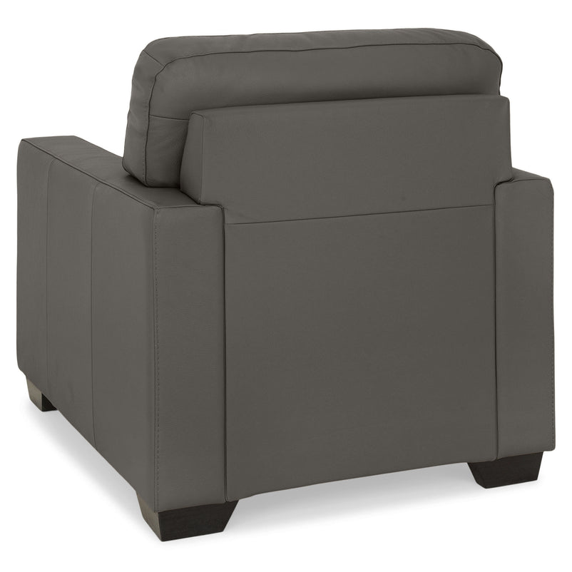 ASWAN Fotoliu, piele