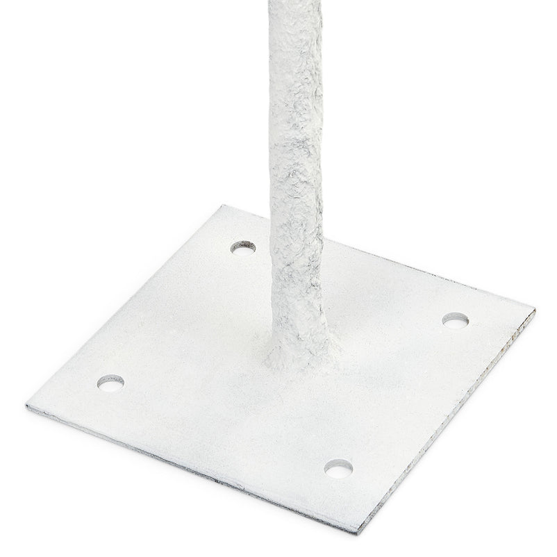 FEATHERS Plantă decorativă