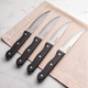 BROIL KING Set 4 cuțite friptură