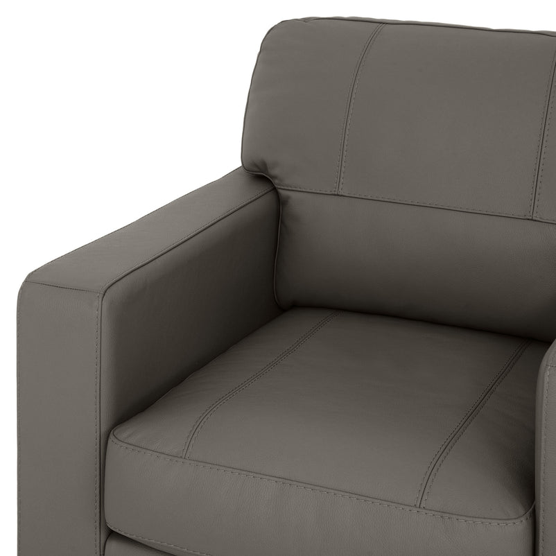 ASWAN Fotoliu, piele