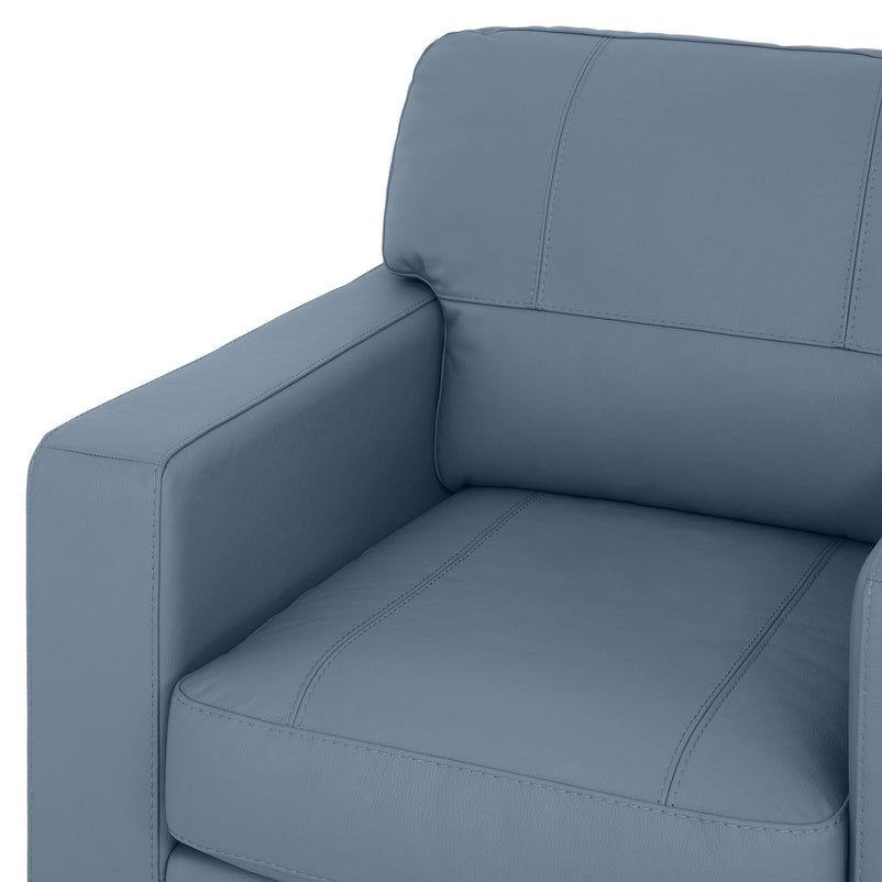 ASWAN Fotoliu, piele