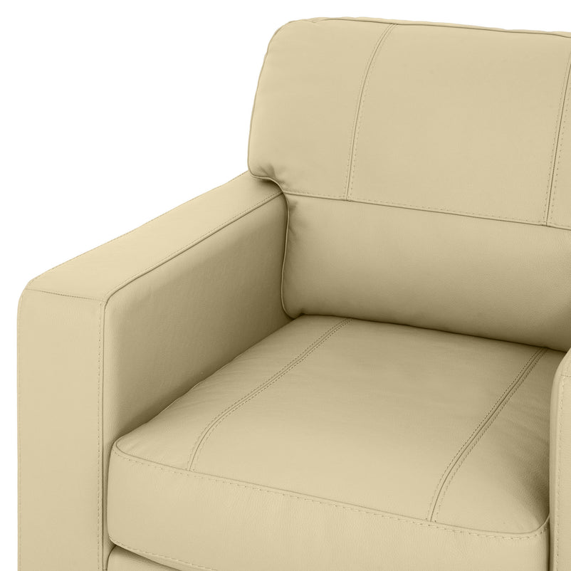 ASWAN Fotoliu, piele