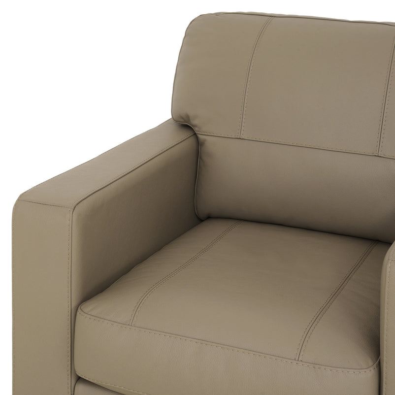 ASWAN Fotoliu, piele