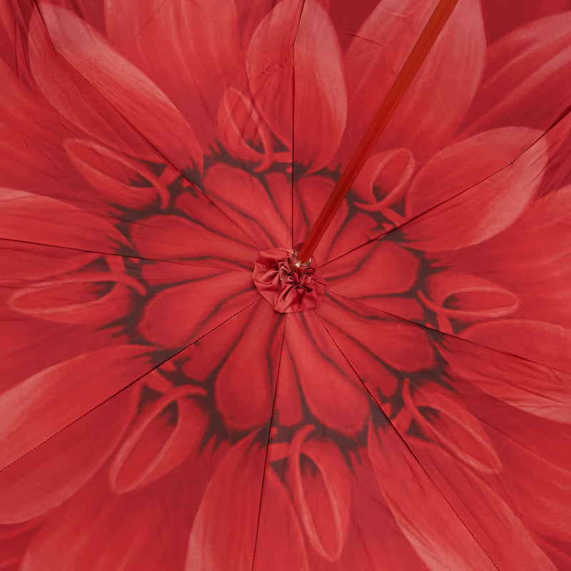 DAHLIA Umbrelă