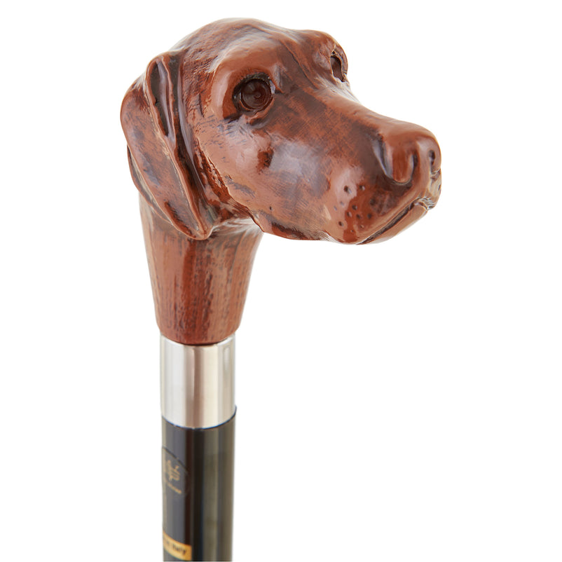 CANE CACCIA Umbrelă ploaie