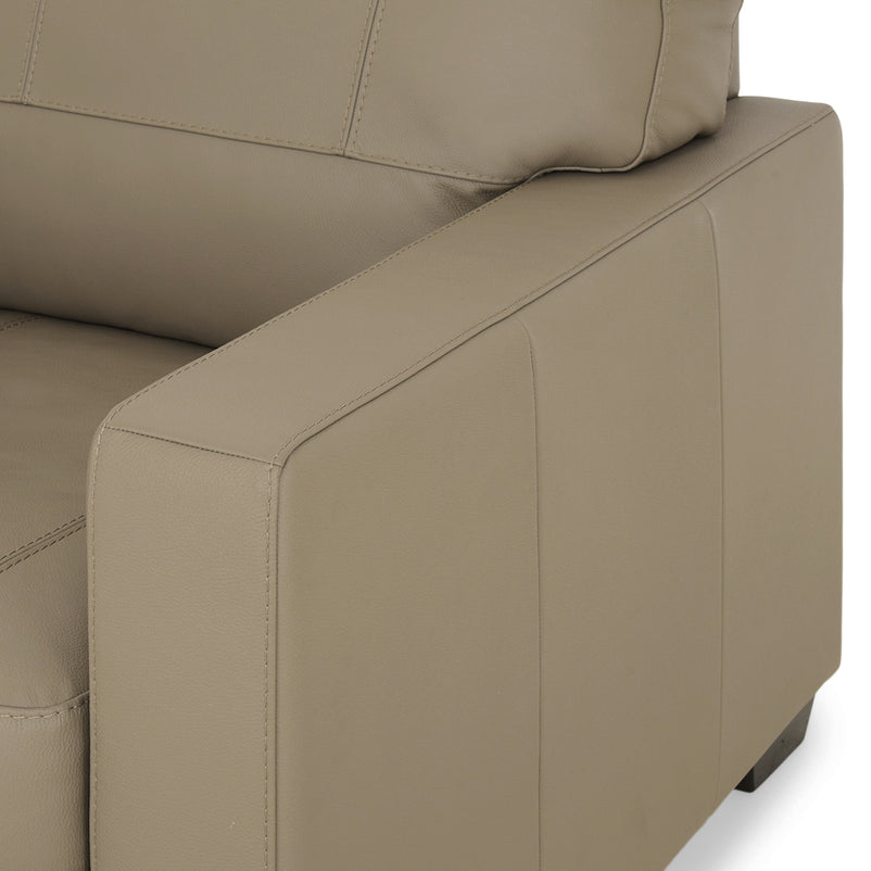 ASWAN Fotoliu, piele