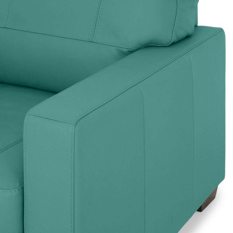 ASWAN Fotoliu, piele