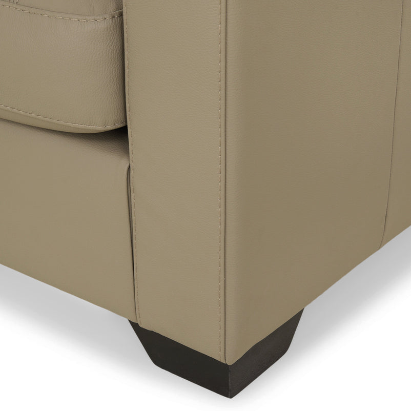 ASWAN Fotoliu, piele