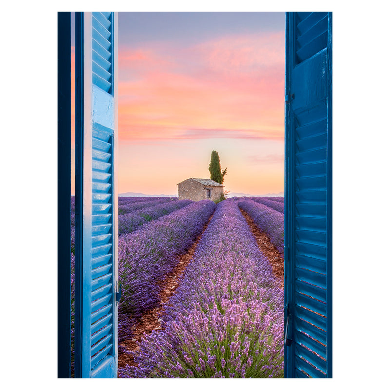 LAVENDER WINDOW Tablou canvas