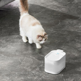 PAWGETHER Fântână pentru apă