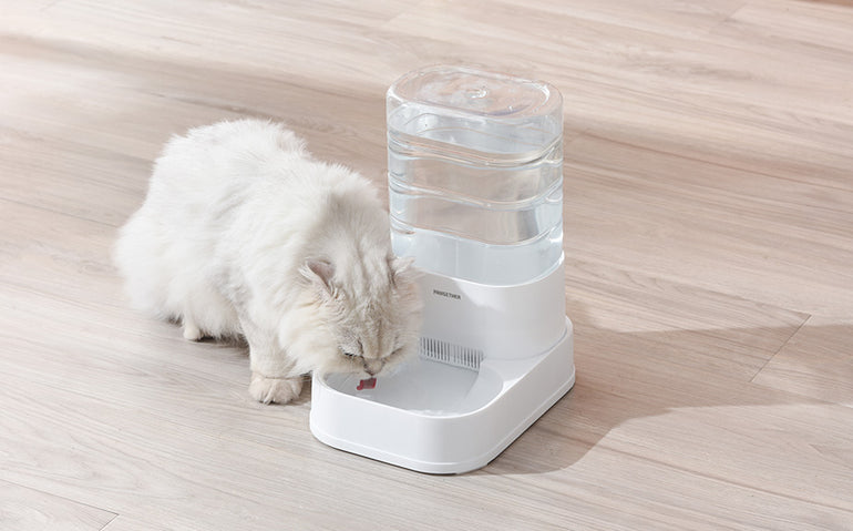 20% REDUCERE la produsele din colecția Pet Shop de la Mobexpert 