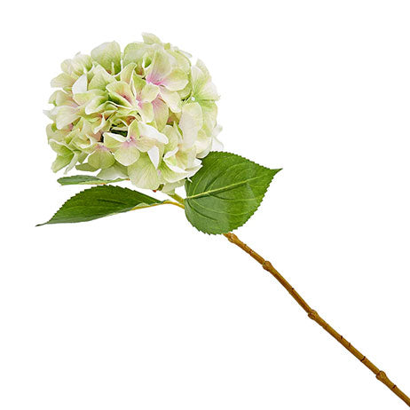 PLANTE ȘI FLORI ARTIFICIALE de la Mobexpert