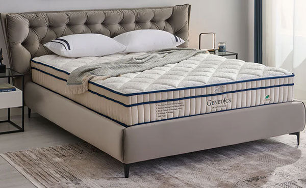 SALTELE de la Mobexpert