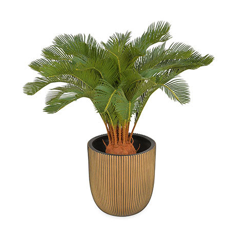 GHIVECE, VASE ȘI JARDINIERE de la Mobexpert