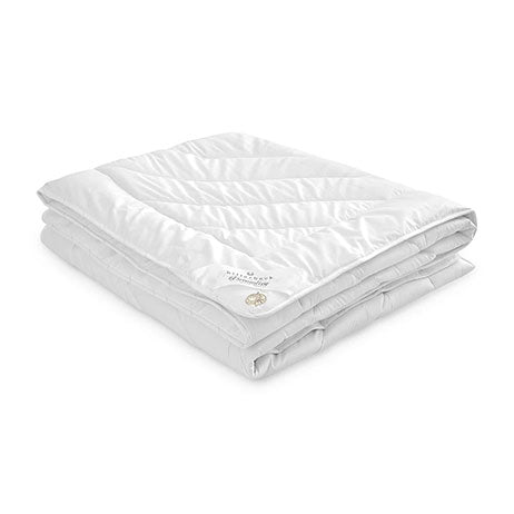 PERNE ȘI PILOTE de la Mobexpert