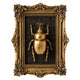 INSECTS Decorațiune perete