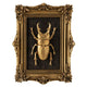 INSECTS Decorațiune perete