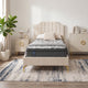 SEALY WOODLAKE Saltea