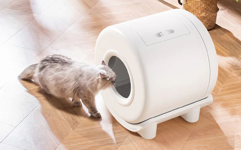 20% REDUCERE la produsele din colecția Pet Shop de la Mobexpert 