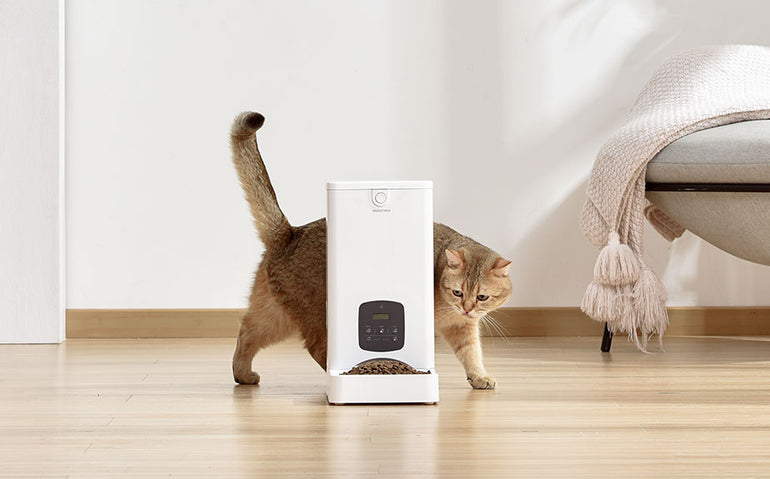 20% REDUCERE la produsele din colecția Pet Shop de la Mobexpert 