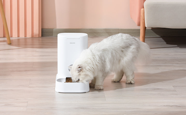 20% REDUCERE la produsele din colecția Pet Shop de la Mobexpert 