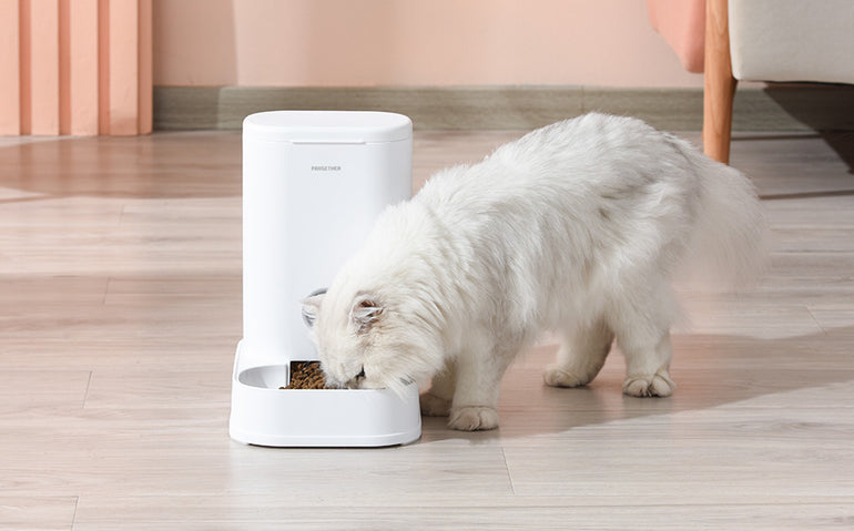 20% REDUCERE la produsele din colecția Pet Shop de la Mobexpert 