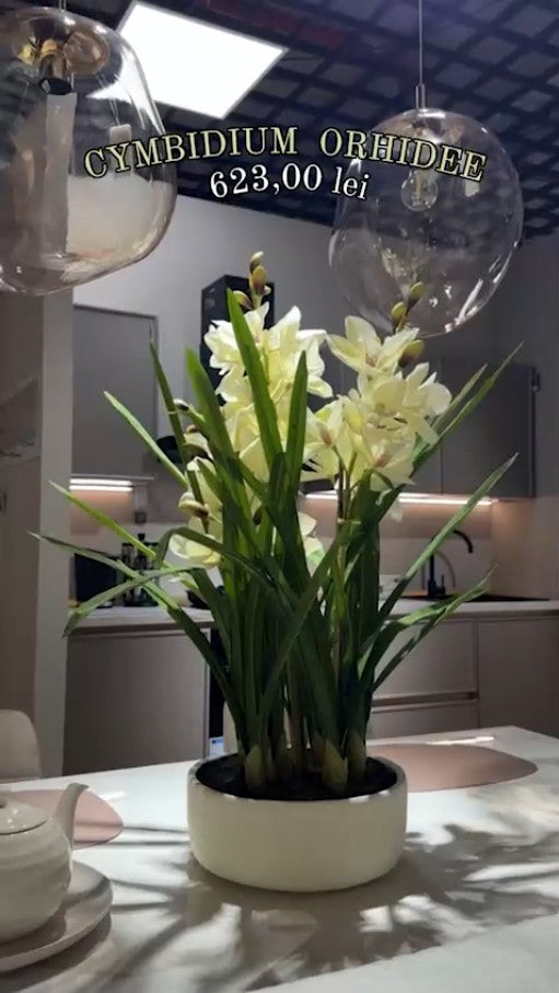 Shop the look - Cumpără Acum