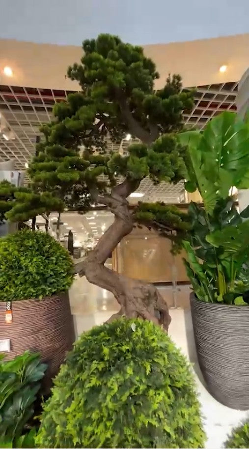 Shop the look - Cumpără Acum