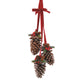PINECONES Decorațiune