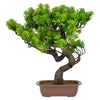 BONSAI Copac artificial în ghiveci, H.42cm