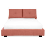 coral