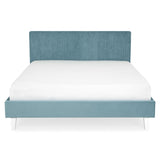 blue / bone-14-alb