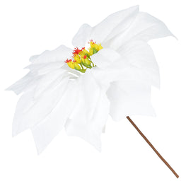 CRACIUNITA Floare decorativă