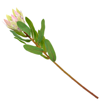 PROTEA Floare artificială de la Mobexpert