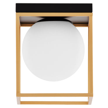 DENNY Plafonieră 1x40W E14