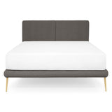 gri inchis/auriu / bone-14-negru