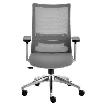 CESARO Scaun ergonomic birou