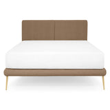 taupe/auriu / bone-14-negru