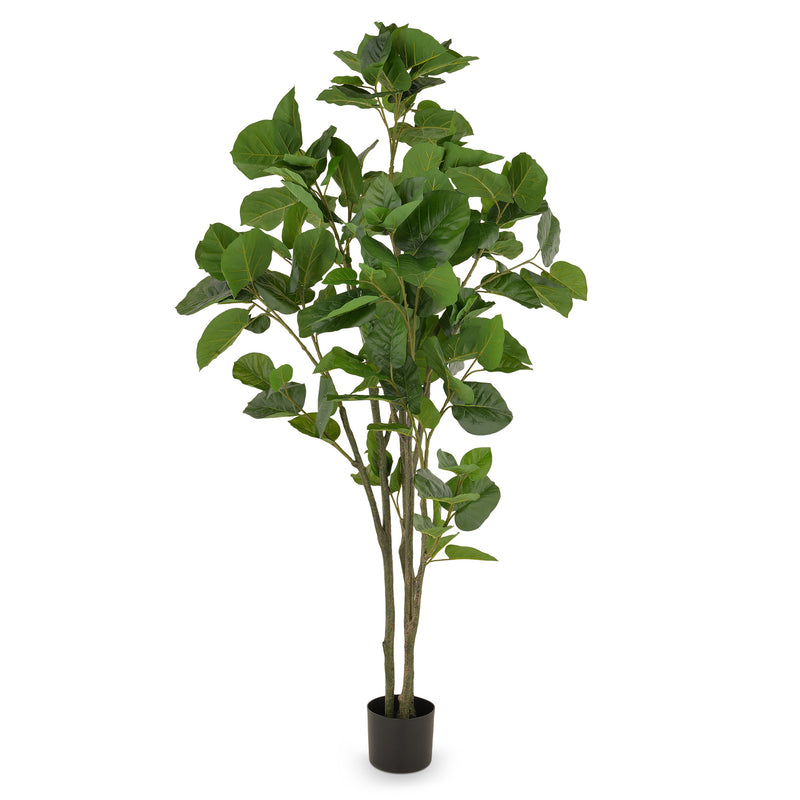 FICUS Copac artificial în ghiveci, H.180cm