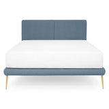 blue/auriu / bone-14-negru